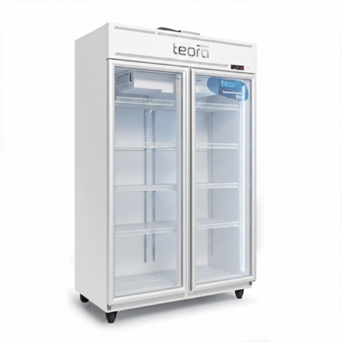 Heladera exhibidora Teora Tev 950 de 2 puertas de aluminio