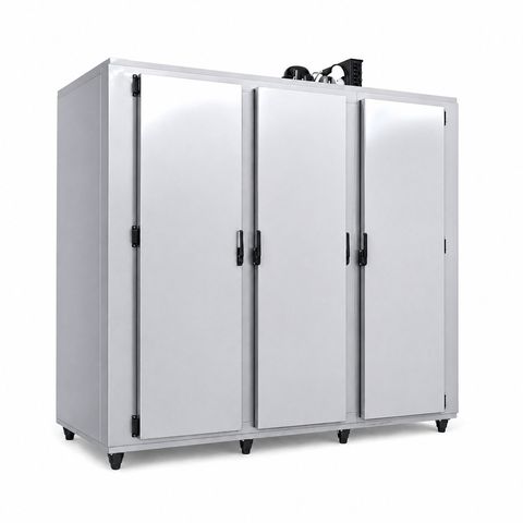 Heladera carnicera tipo cámara de 3 puertas Martínez Frío